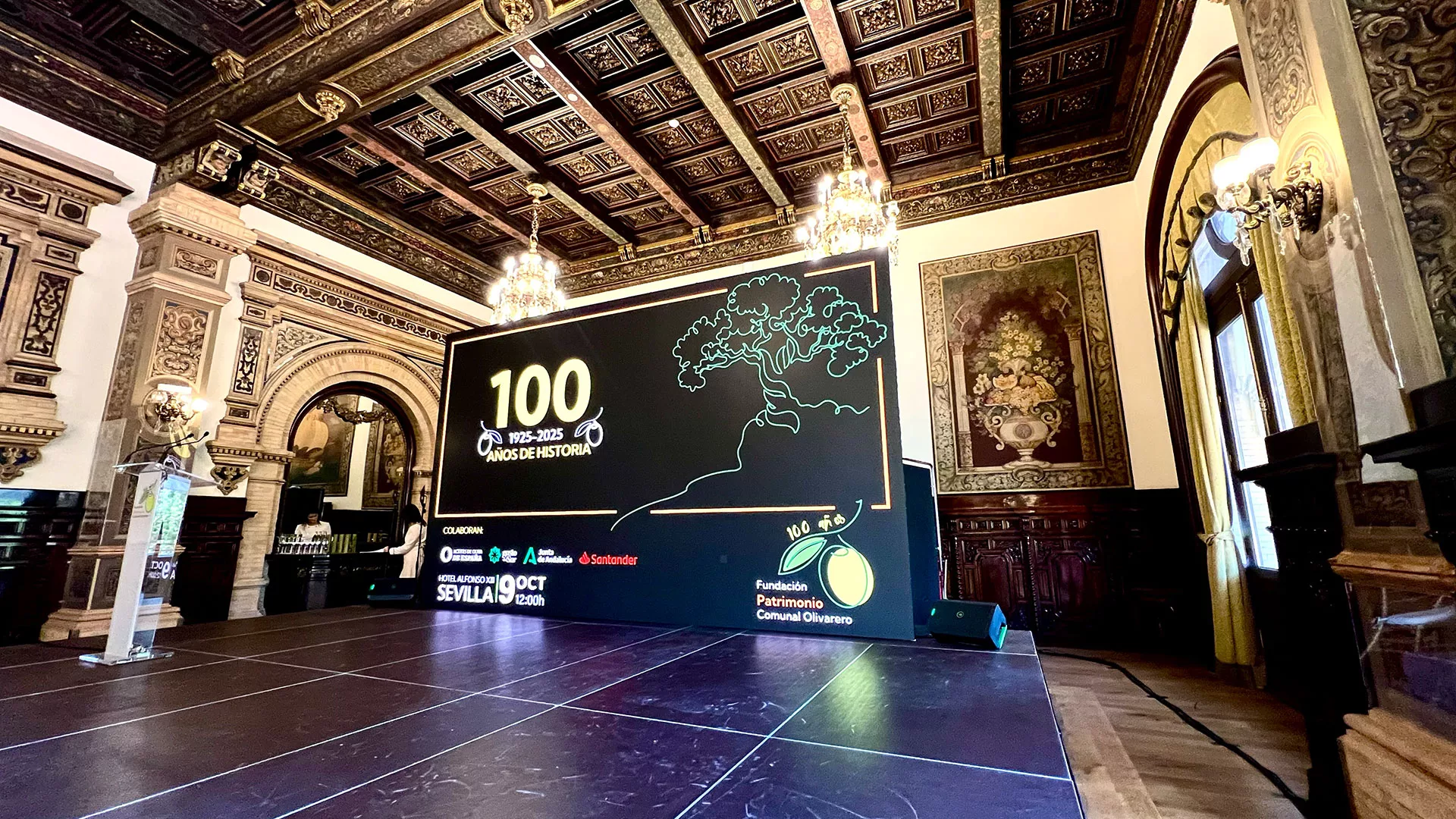 FUNDACION-OLIVOS-2025-03